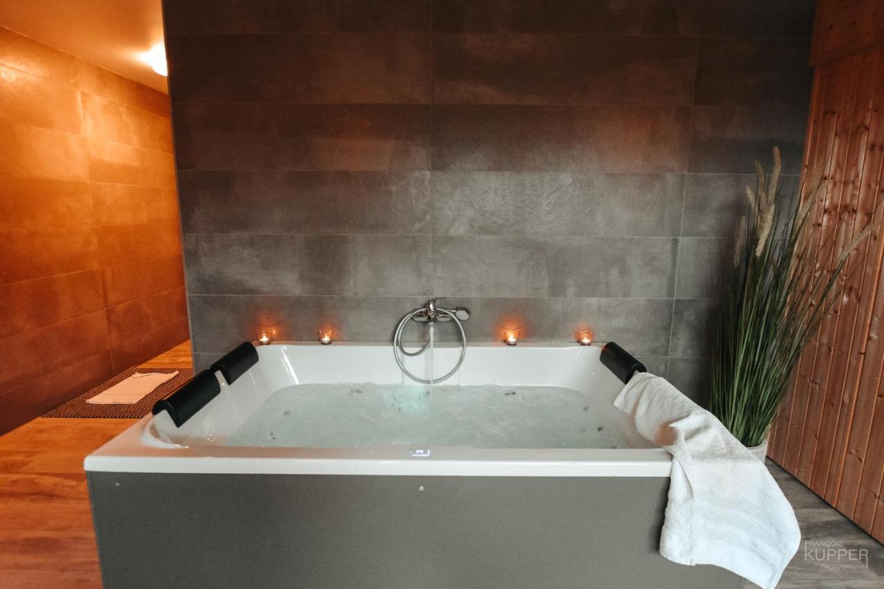 Le Bonheur De La Cascade 24 Pers - Malmedy, Wellness, Jardin, Confort Buitenkant foto