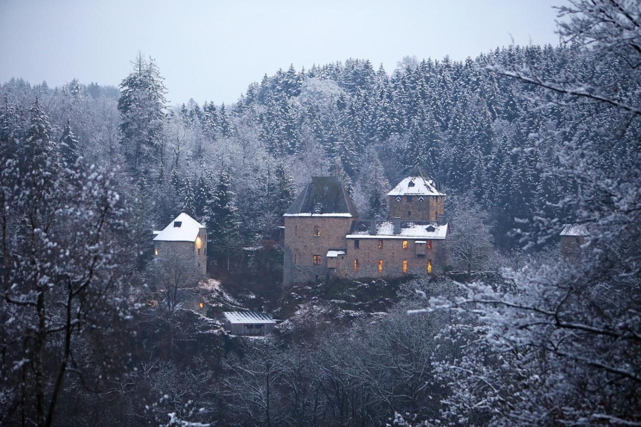 Le Bonheur De La Cascade 24 Pers - Malmedy, Wellness, Jardin, Confort Buitenkant foto